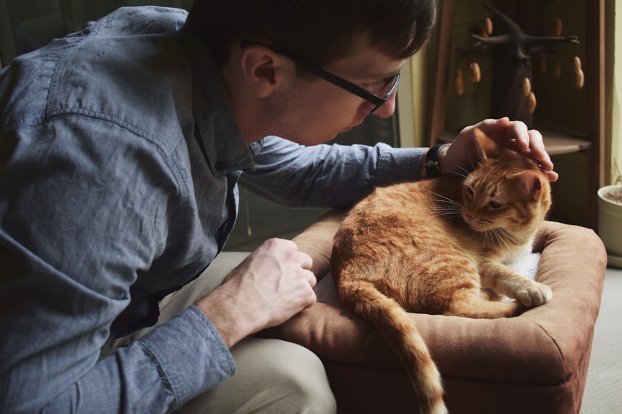 Photo veterinary
